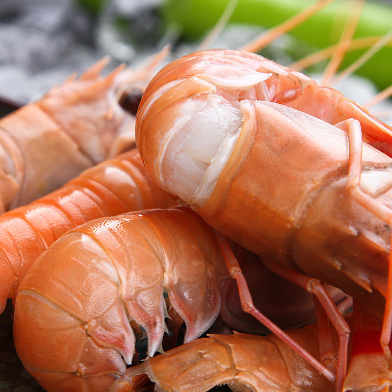 鳌虾刺身大国国产南极特大舟山宁波海鲜冷冻冻虾