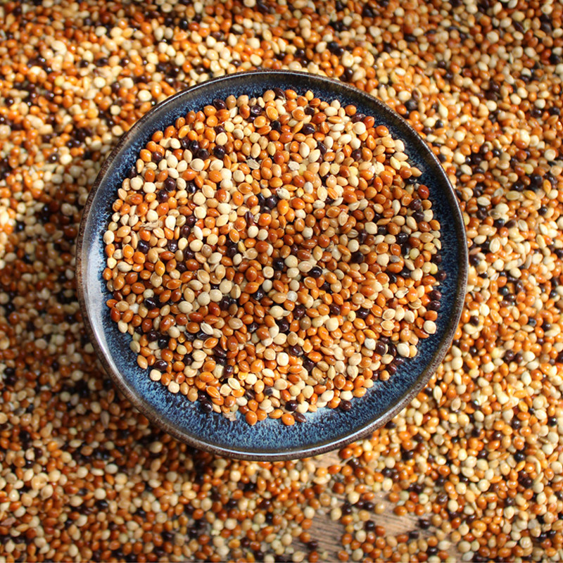 鹦鹉虎皮牡丹玄凤小太阳五色红黍混合鸟食鸟粮鸟食