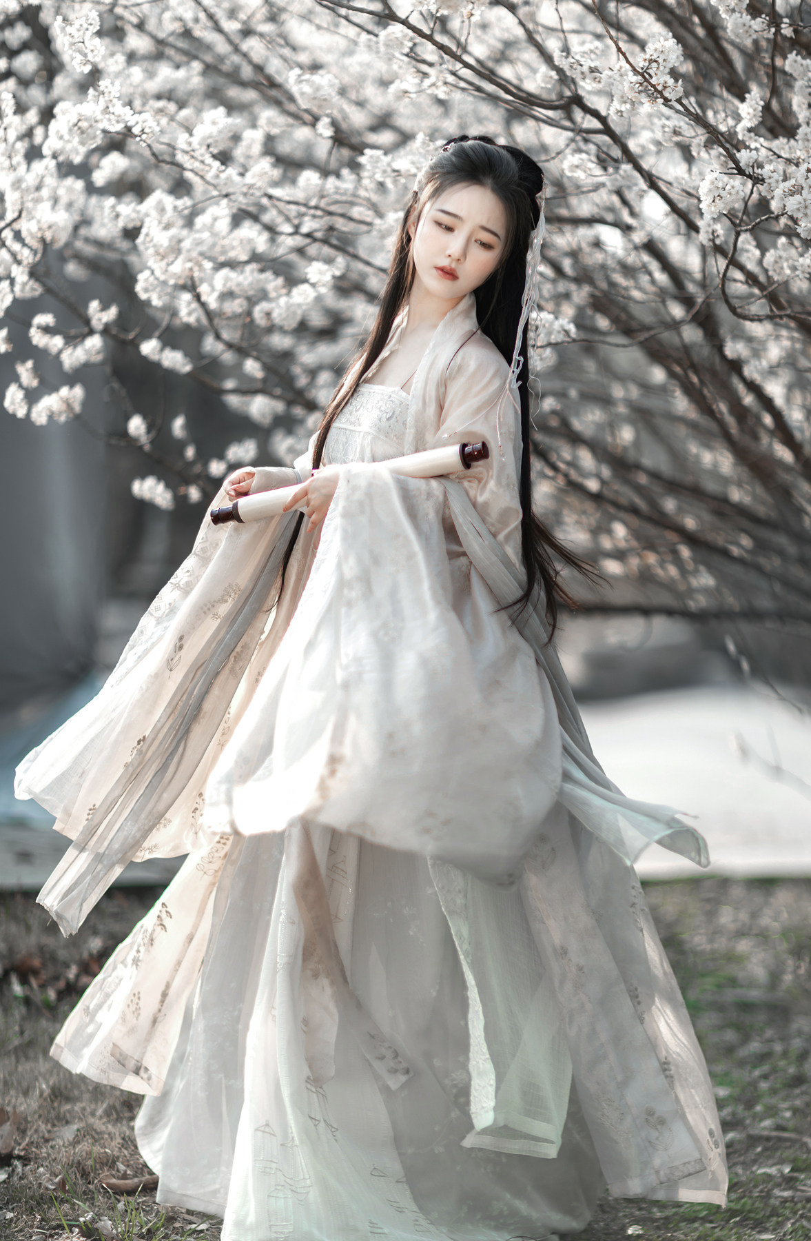 司南阁原创【浅浅】汉服女款唐制诃子裙大袖衫春夏 最后几套