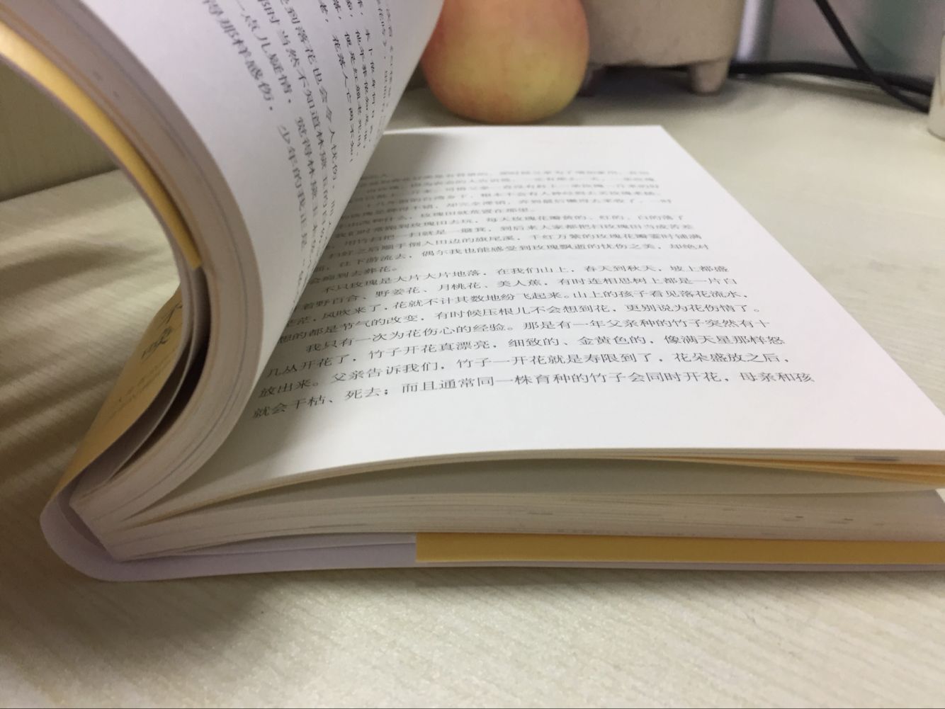 xh 畅销书籍 古风禅意插画唯美典藏 温情励志散文集 心灵治愈大师