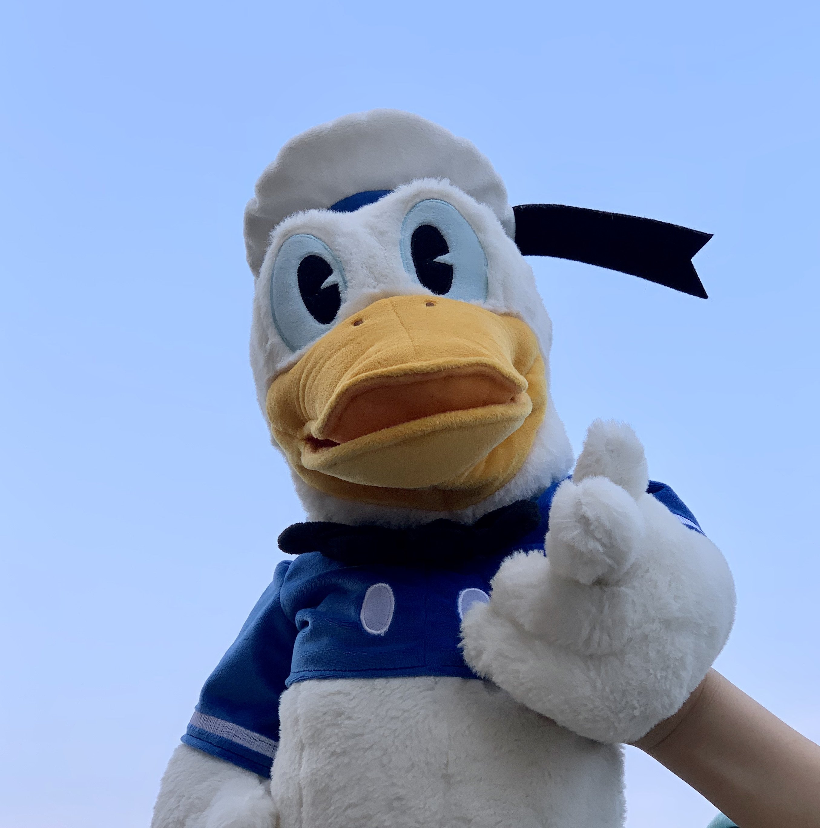 【妙妙屋】鸭鸭网红大葱鸭毛绒玩具玩偶扮演手偶抱枕520礼物公仔