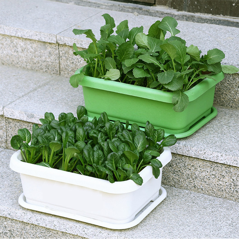 种植家用阳台种菜菜盆树脂长方形室内蔬菜花盆花盆