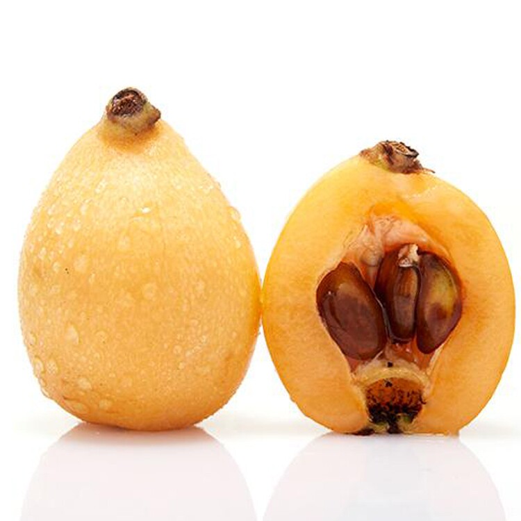 枇杷攀枝花米易五星早钟新鲜大果琵琶当季现摘枇杷