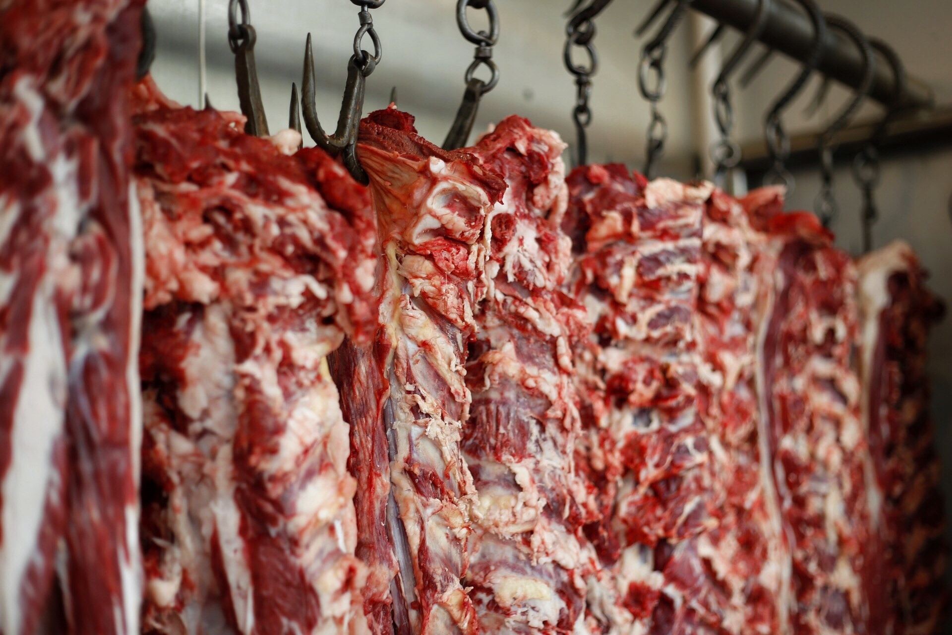 北京鸦儿李记牛羊肉生肉速冻鲜肉半成品新鲜闪送传统中式糕点