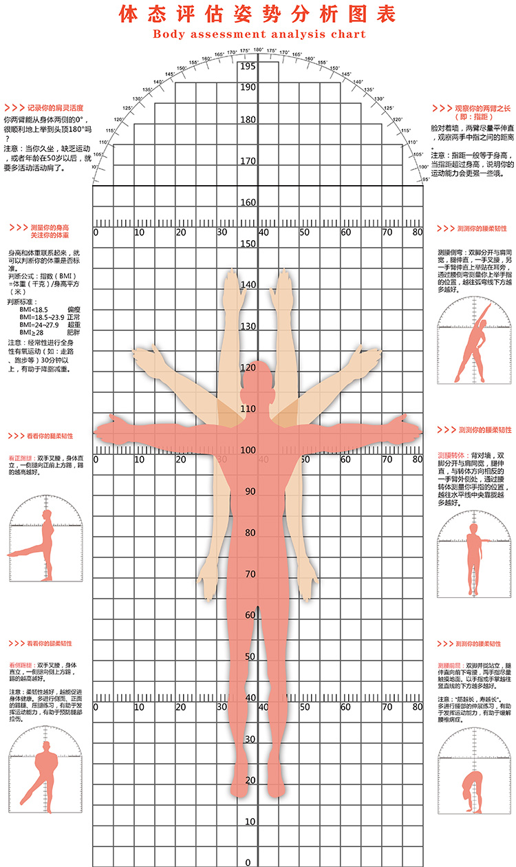多功能体态评估表瑜伽私教专用体位图健身房体姿体测评估表比对图