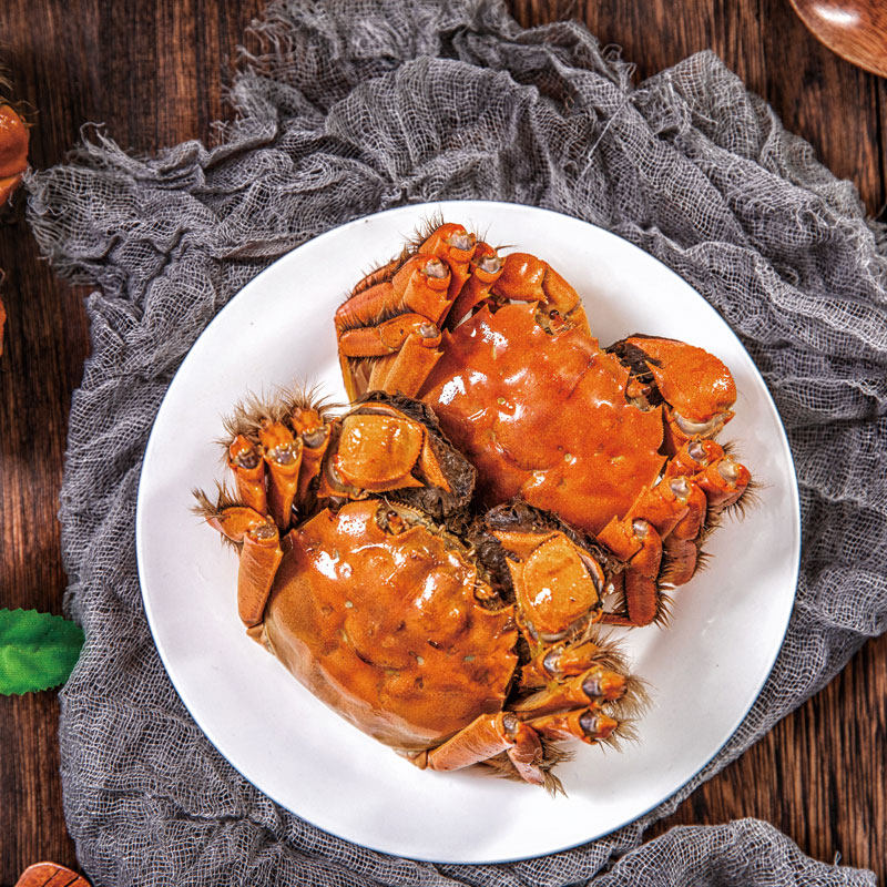 现货九月鲜大闸蟹4公4母共10只顺丰空运