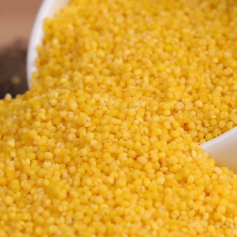 小米乐土土黄新米内蒙古赤峰红谷月子杂粮粗粮小米