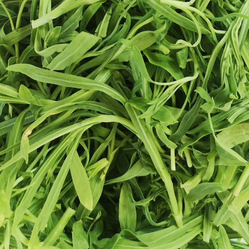 面条新鲜野菜菜叶菜类3斤包邮蒸柳叶菜现采现发叶菜类