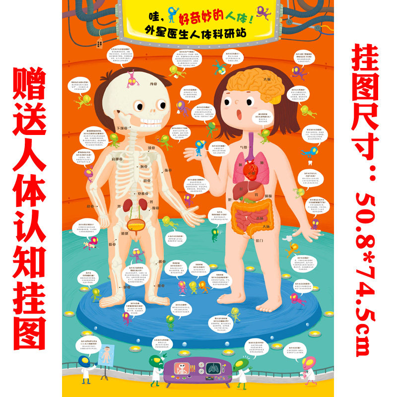 身体人体儿童绘本读物认知构造保护百科科普绘本