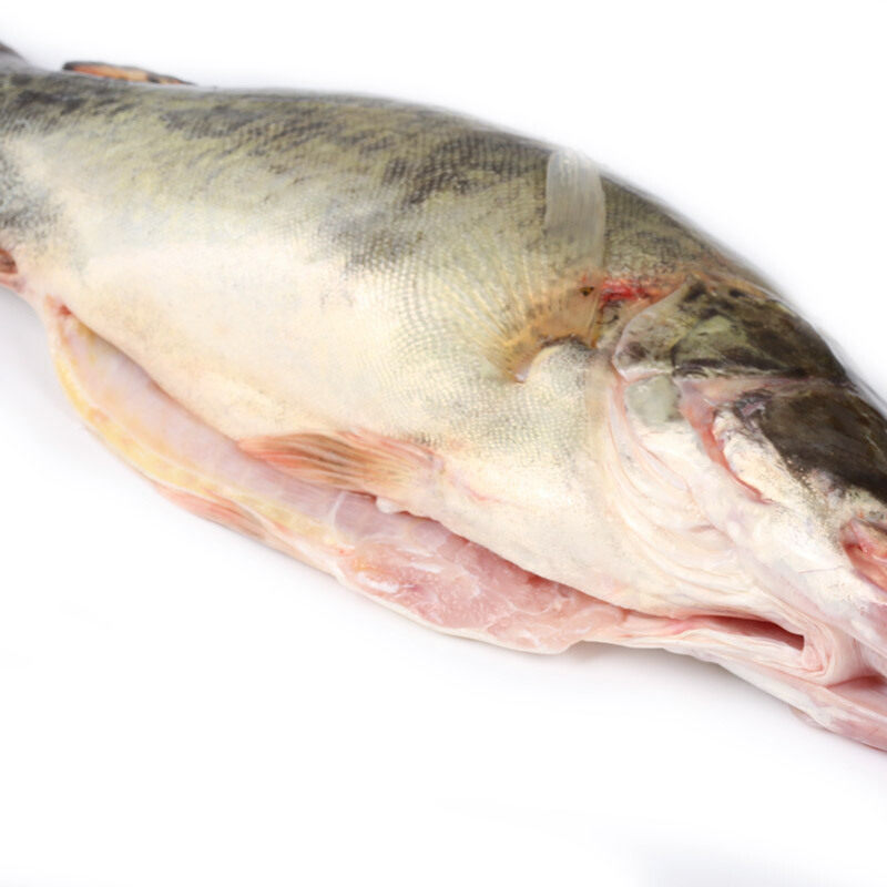 沱湖野生鲜活现杀冰鲜桂鱼鳜鱼鳌花鱼季花鱼净膛1斤-2斤真空包装