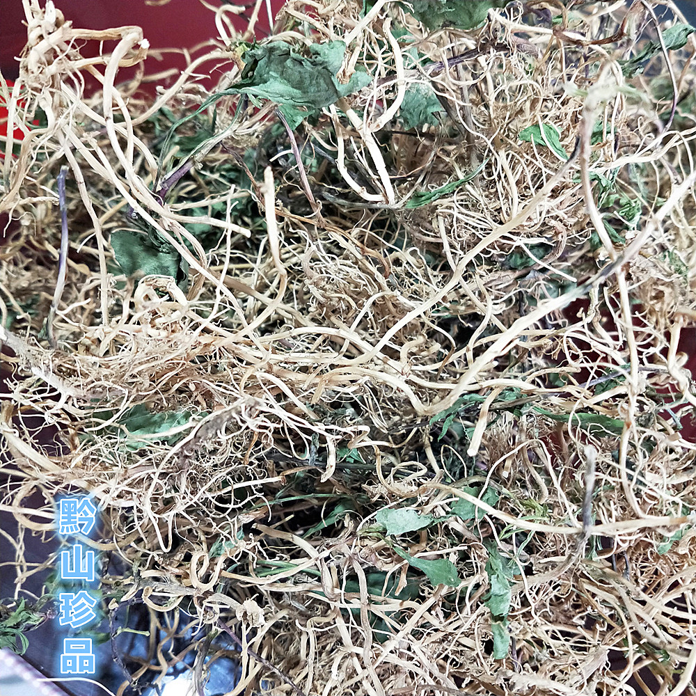 马兰贵州草药田边菊鱼鳅串马郎头红梗菊根绿植