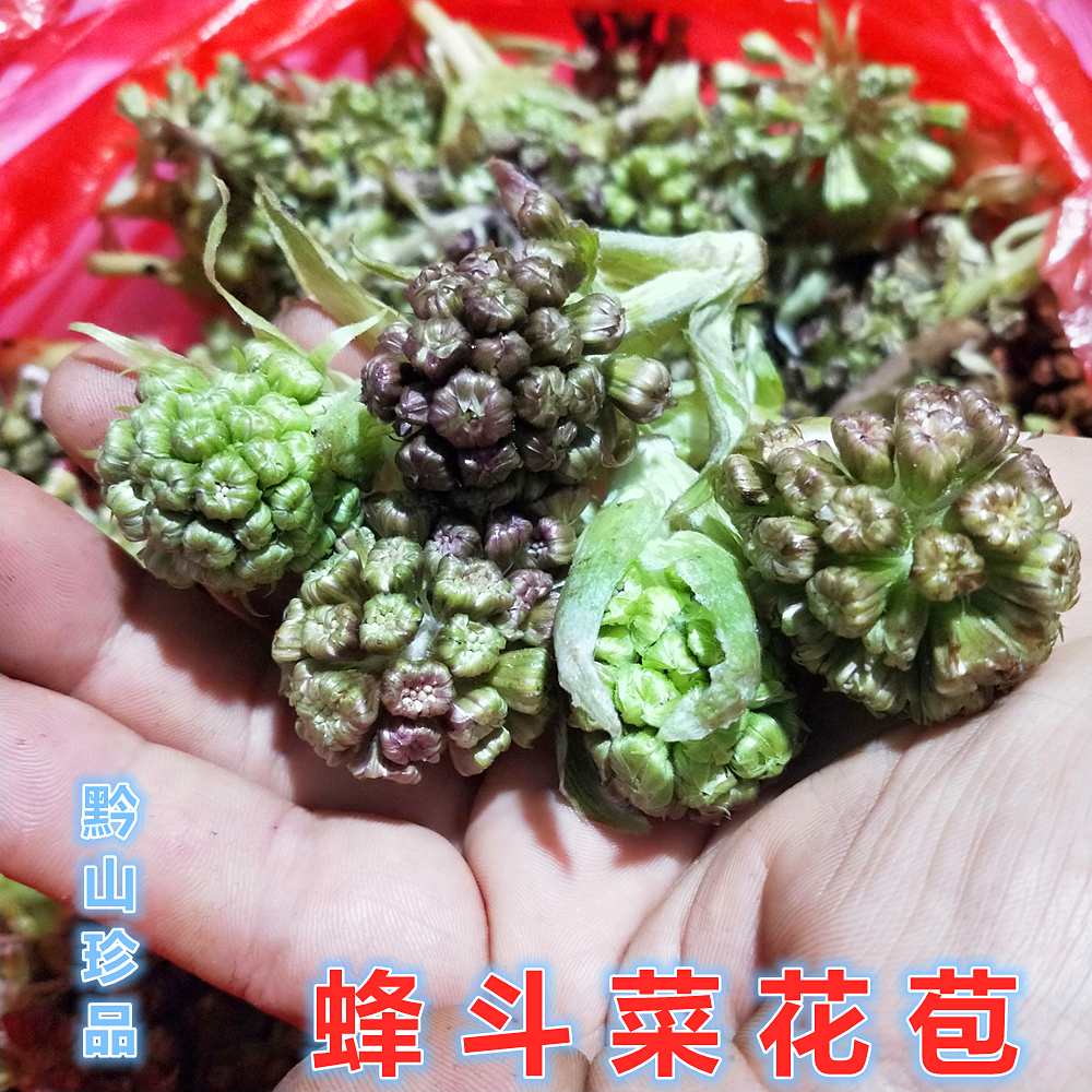 贵州新鲜蜂斗菜南瓜三七水钟流头中草药蜂斗菜叶根茎叶柄花苞