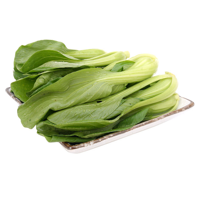 日日上海青苗300g新鲜菜叶鲜嫩蔬菜叶菜类