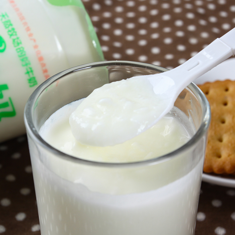 蒙纯凝固型酸牛奶450g内蒙古食品营养天然奶香浓郁酸奶