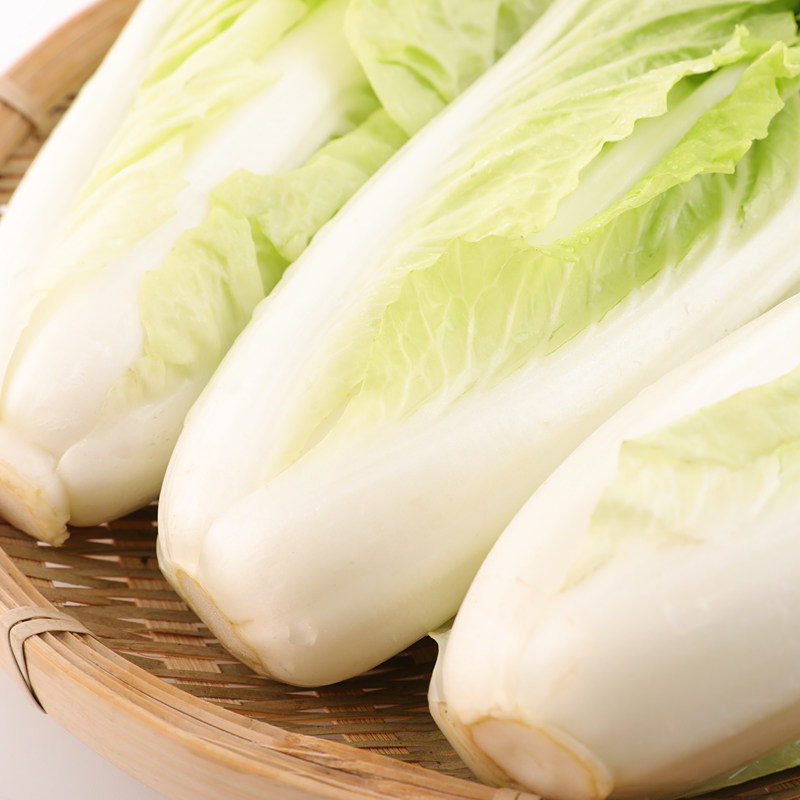 无公害普通白菜天津400g蔬菜叶菜类