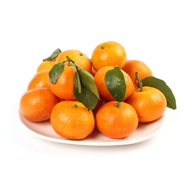 砂糖蜜桔950g桔子