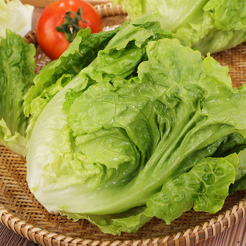 8元10折距离结束:1天23时59分30秒高山生菜3000人收藏天猫超市扫码有