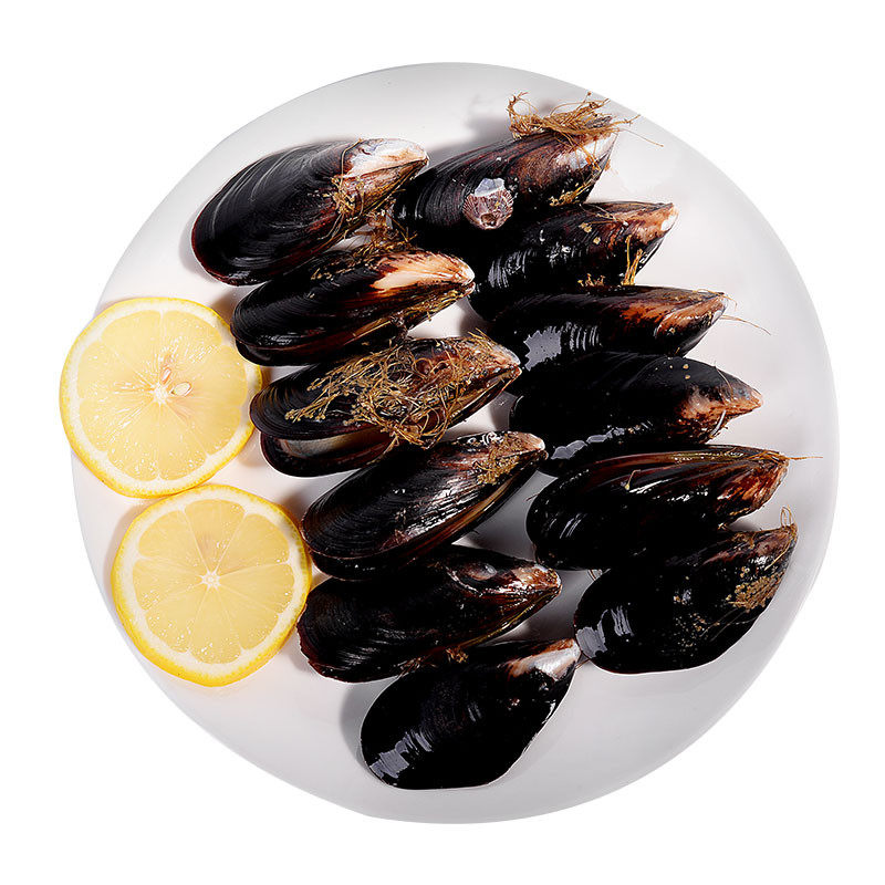 鲜活淡菜12-16个称重500g其它