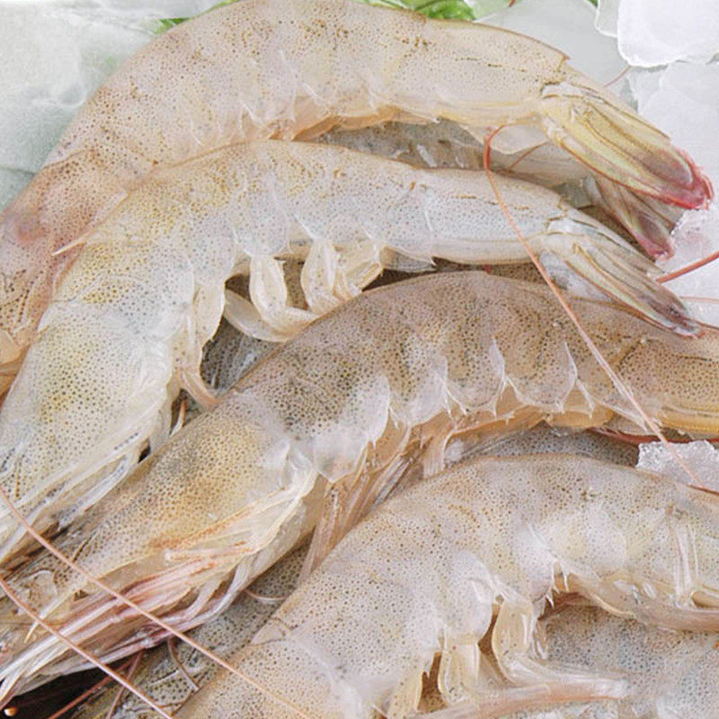 柳云小龙虾鲜活3斤装 洪泽湖567钱清水虾活虾水产养殖淡水虾包邮