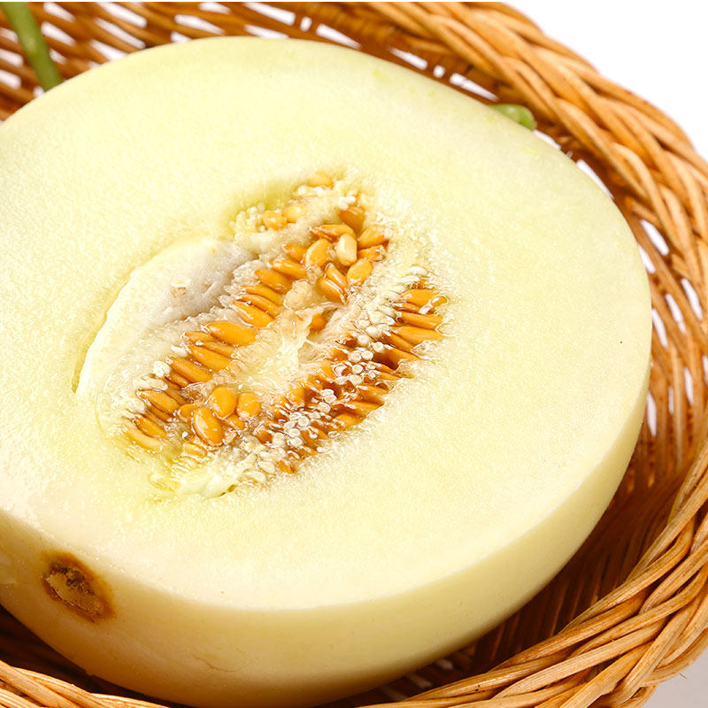 西莫洛托蜜瓜小蜜蜂1粒装甜瓜