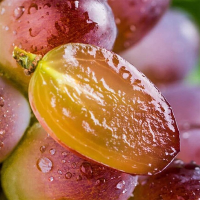 茉莉香葡萄300g葡萄