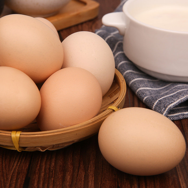 仁达新鲜鸡蛋15枚/盒 - 券多多