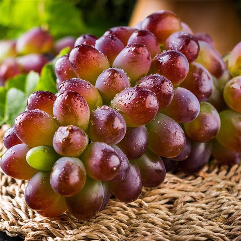 茉莉香葡萄300g葡萄