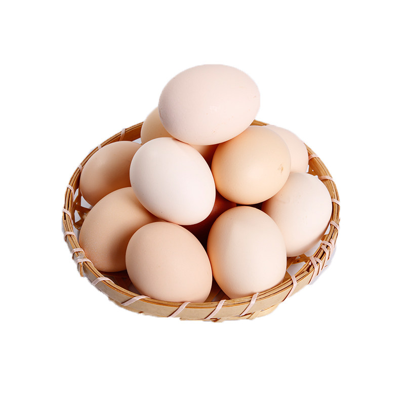 无公害鸡蛋8枚鸡蛋