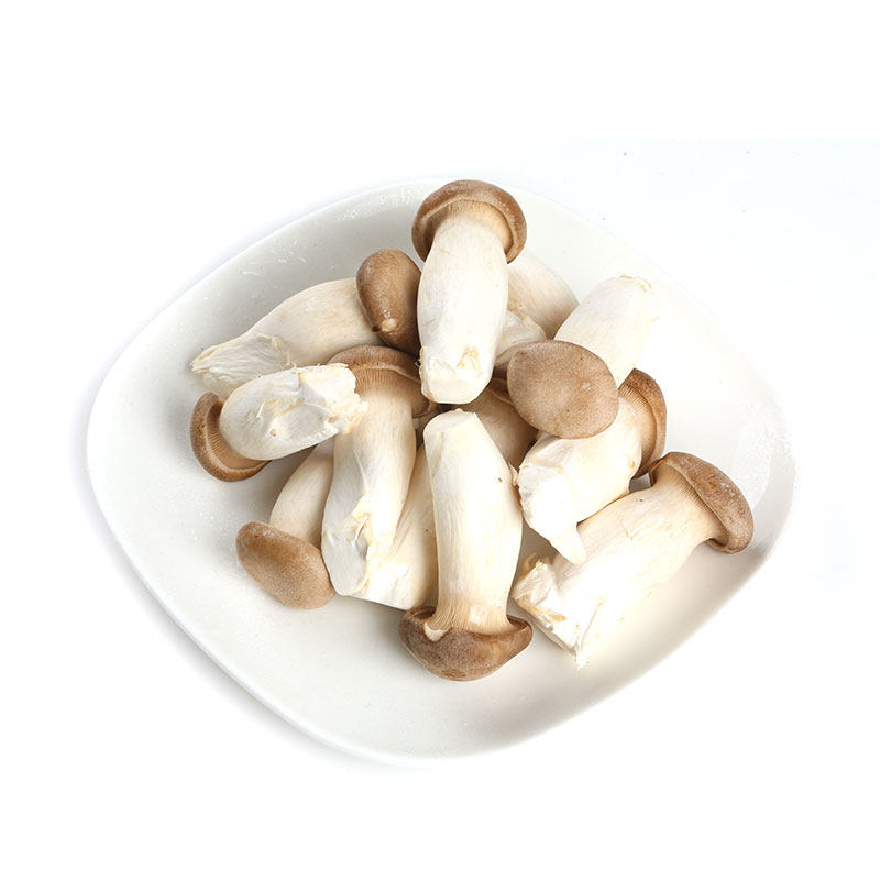 小杏鲍菇鸡腿350g新鲜脆嫩多汁新鲜松茸