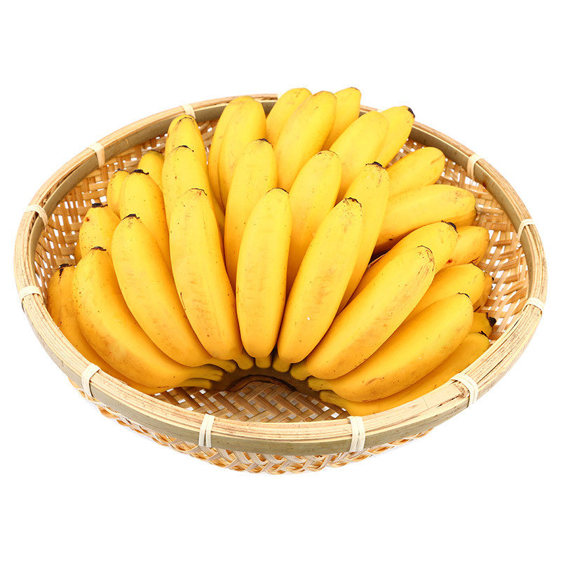 国产皇帝500g香蕉香甜软糯美味新鲜精选当季香蕉