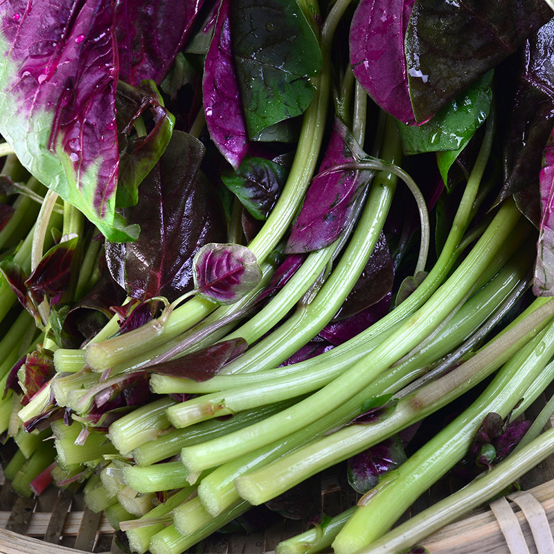 苋菜300g红米蔬菜叶菜类