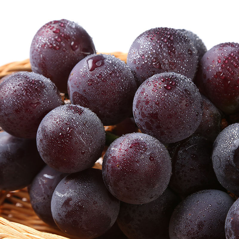 葡萄藤引1kg盒大香甜多汁精选优质新鲜当季葡萄