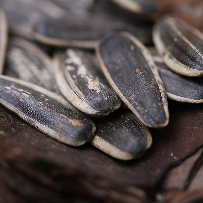 阿里山精选奶油油香瓜子180克瓜子