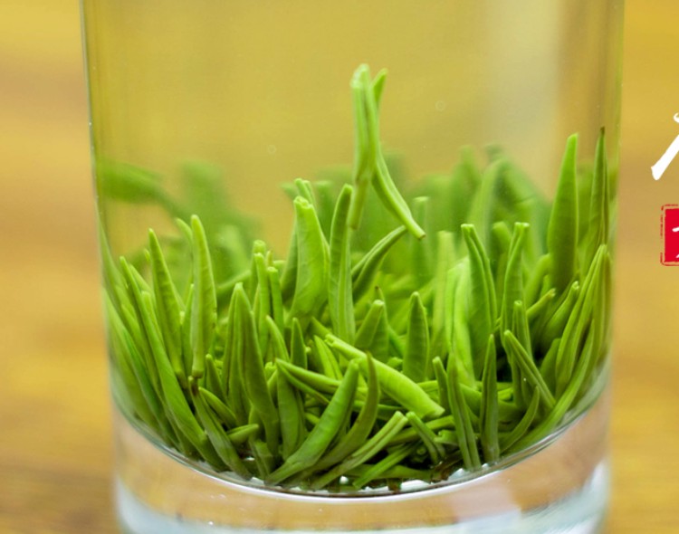 清福茶庄青山芽茶罐装湖南高山绿茶雀舌茶叶特色产区绿茶