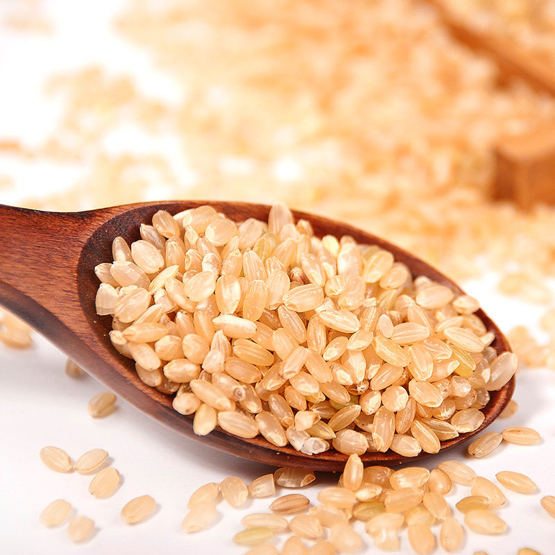 北显有机糙米450g东北胚芽粗粮玄米杂粮包邮糙米