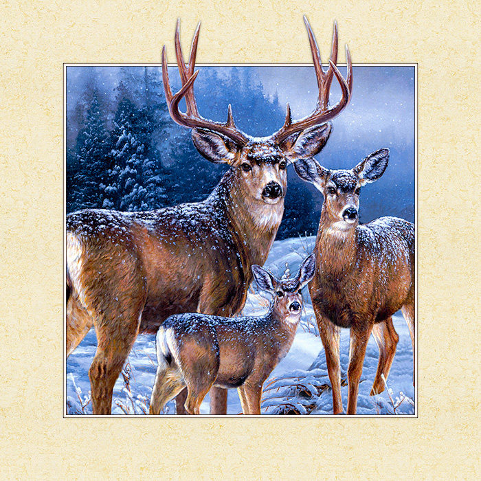 高清三维立体画/动物风景5d/3d画客厅玄关卧室装饰画沙发背景画