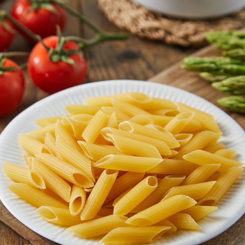 通心面500g意大利面西乐迪意面原装进口宝宝面条意粉商用粗粮家用