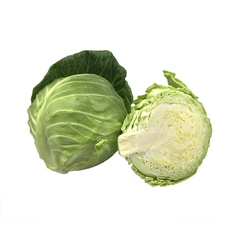 晓玲农场新鲜现摘结球甘蓝卷心菜小圆包菜绿甘蓝新鲜时令蔬菜5斤