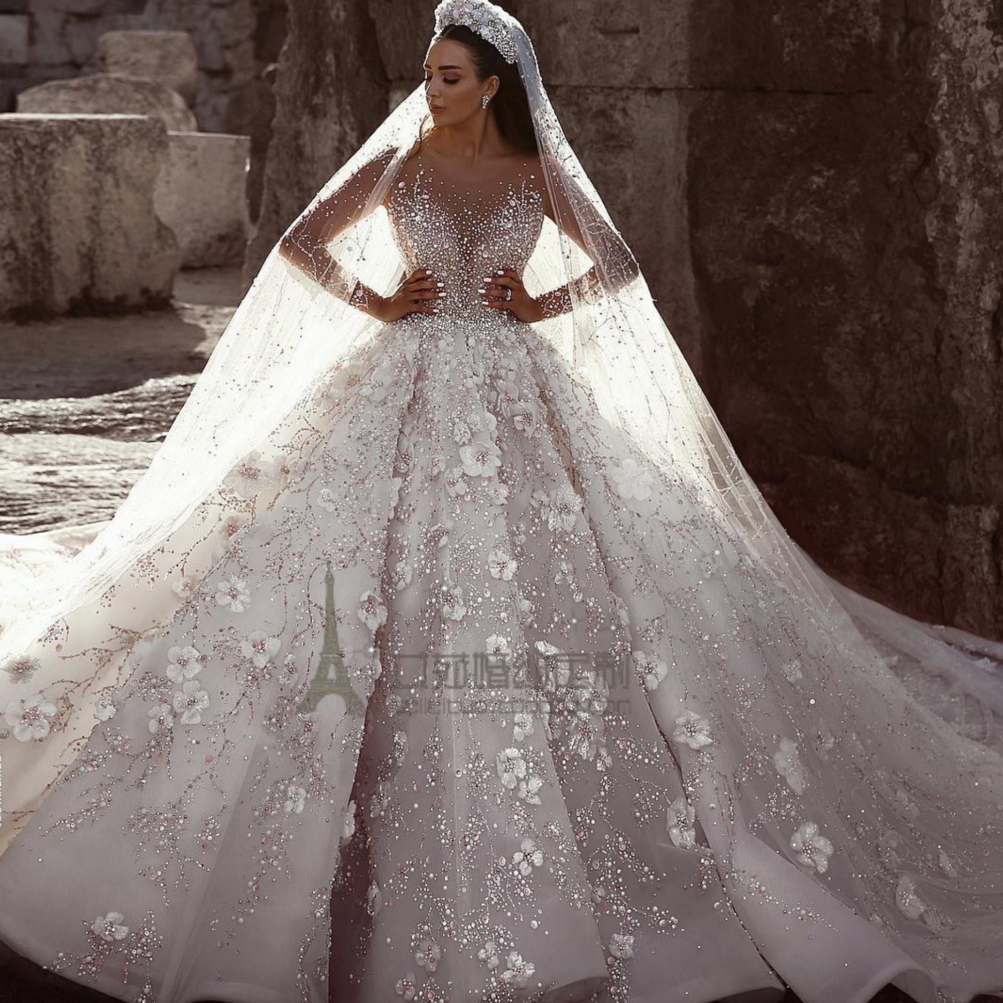 eliesaab迪拜奢华水钻花朵蓬蓬婚纱长袖性感女王大拖尾婚纱出租