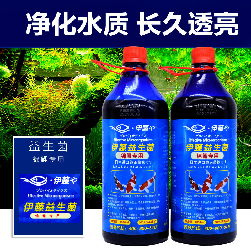 伊藤日本进口em原液硝化细菌锦鲤em原露用水其他益生菌