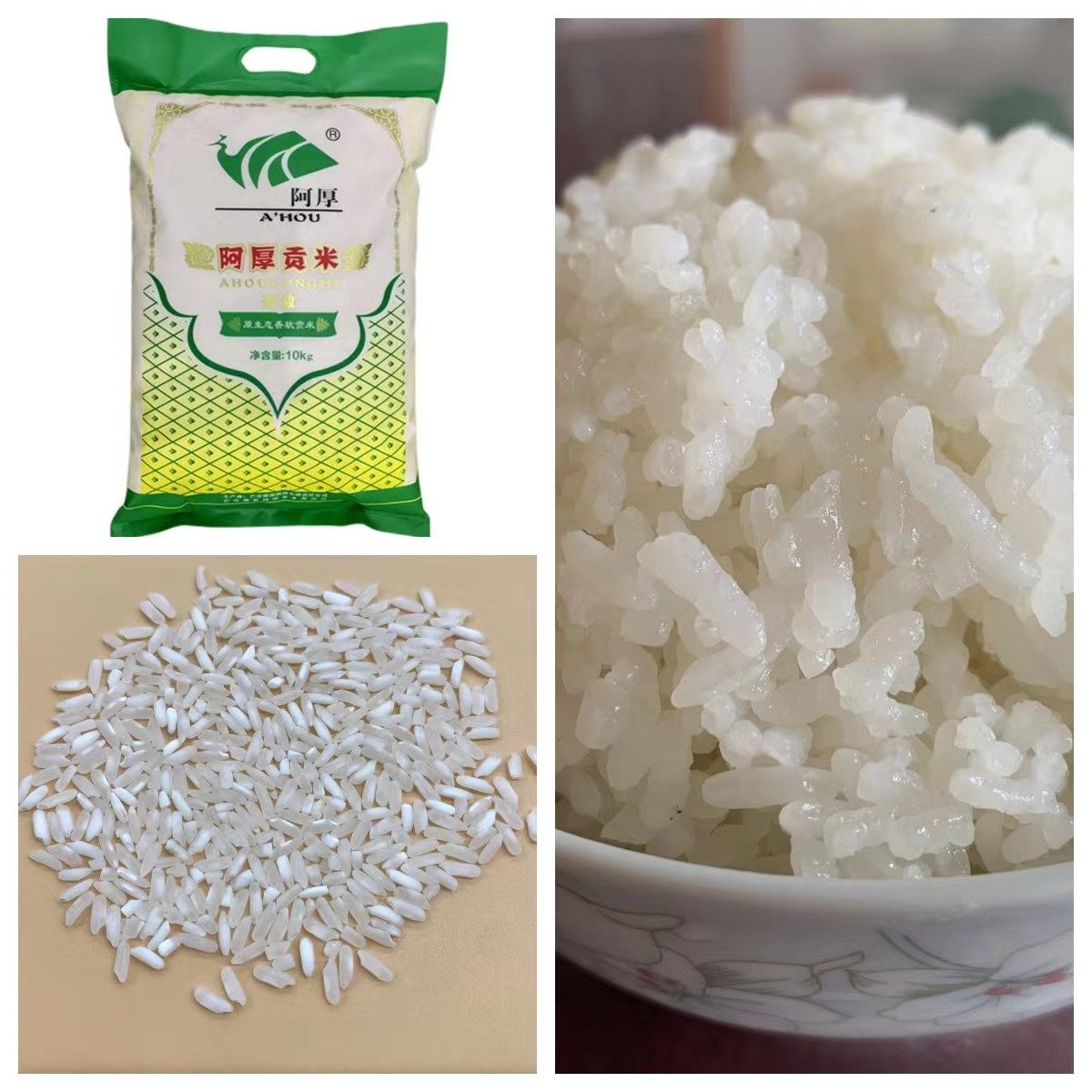 遮放贡米阿厚2021新米香软米滇屯502号大米20斤大米