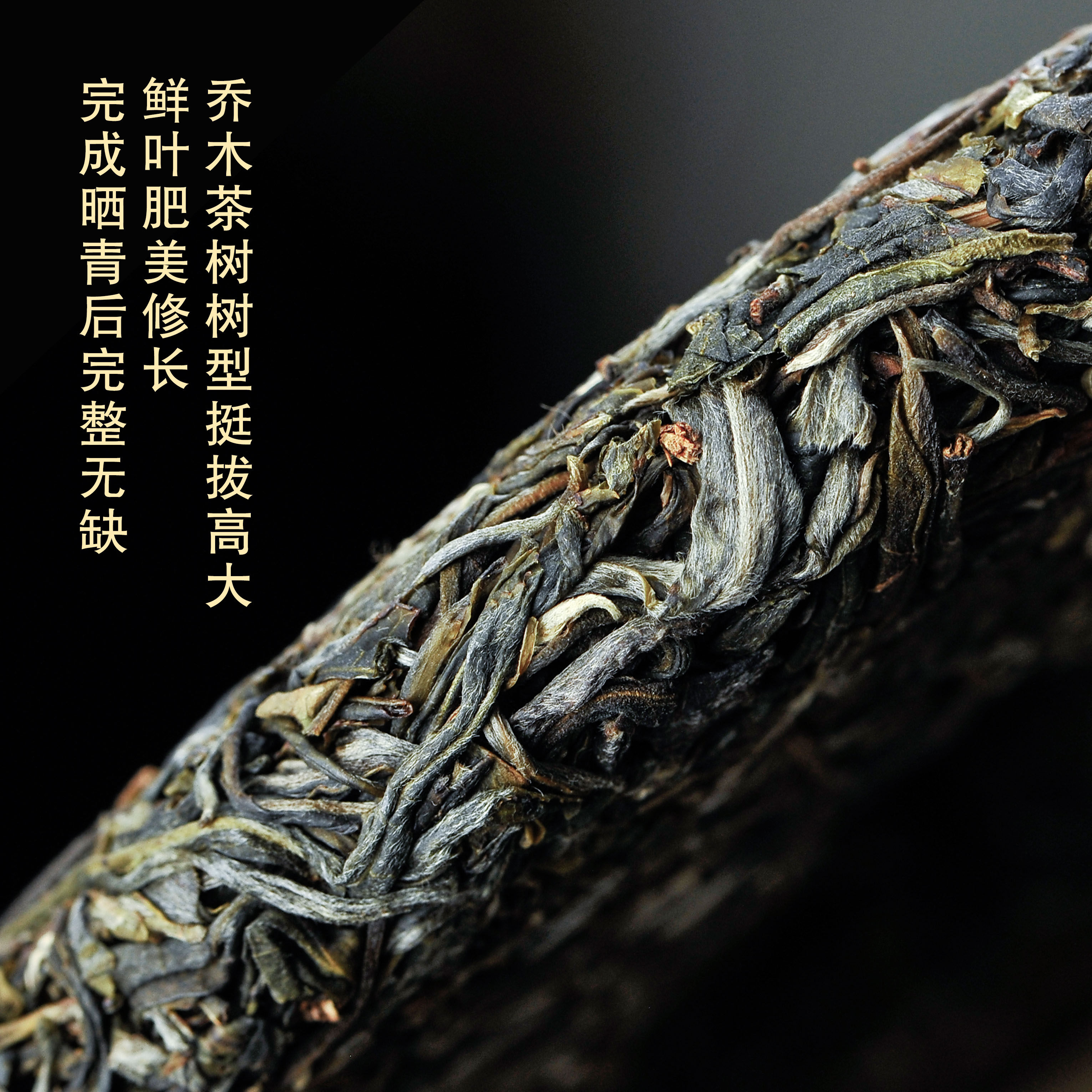 沧元号2019景迈大树乔木大叶种头普洱茶生茶357克普洱