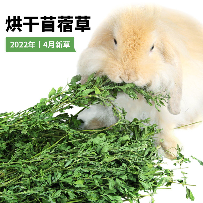 22年新草紫花苜蓿草干草1kg兔子龙猫荷兰猪吃兔兔干草