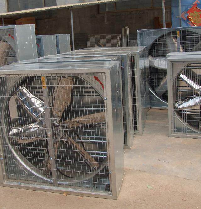 风机排风扇养殖场11米负压工业厂房猪场换气扇水帘畜牧