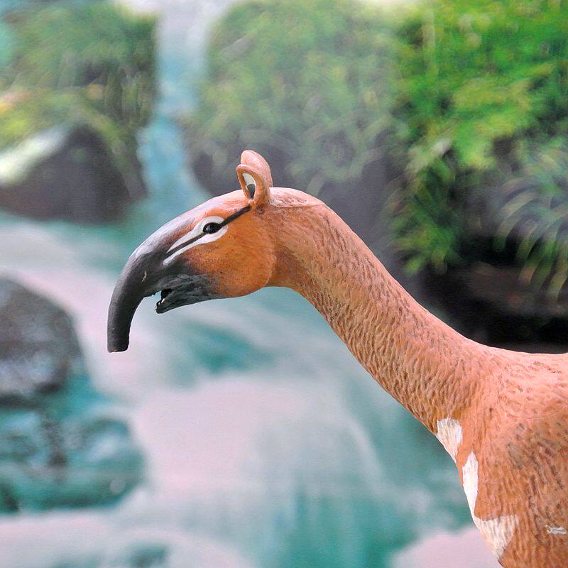 模型美国safari正品古生物弓兽欧美教学玩具摆件仿真