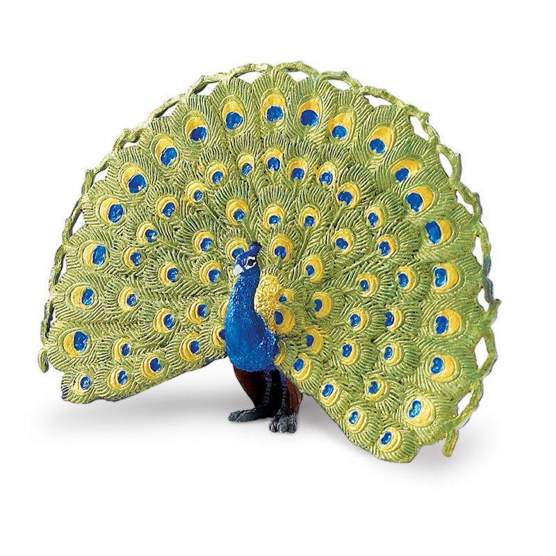 美国safari品牌静态动物模型孔雀玩具摆件公仔其他模型玩具