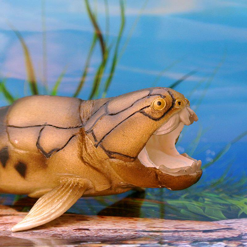 safari正品远古海洋生物邓氏鱼模型283329教具美国玩具欧盟ce认证