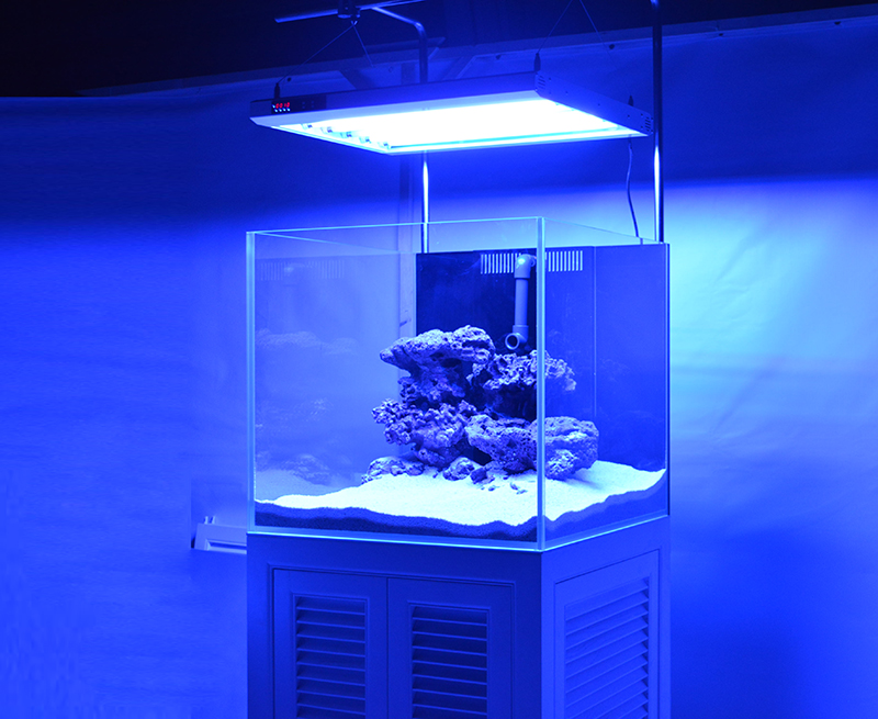 米熊海水缸金晶超白鱼缸海珊瑚中型超白缸60方底滤缸桌面缸