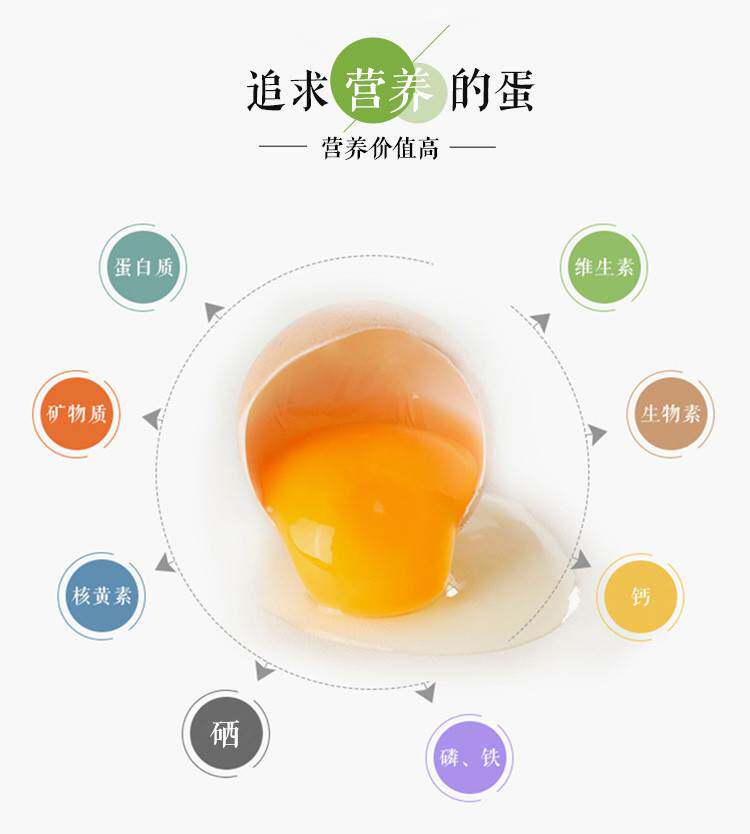 和丰富硒五谷生食可生无菌无抗鲜蛋日产当日鸡蛋