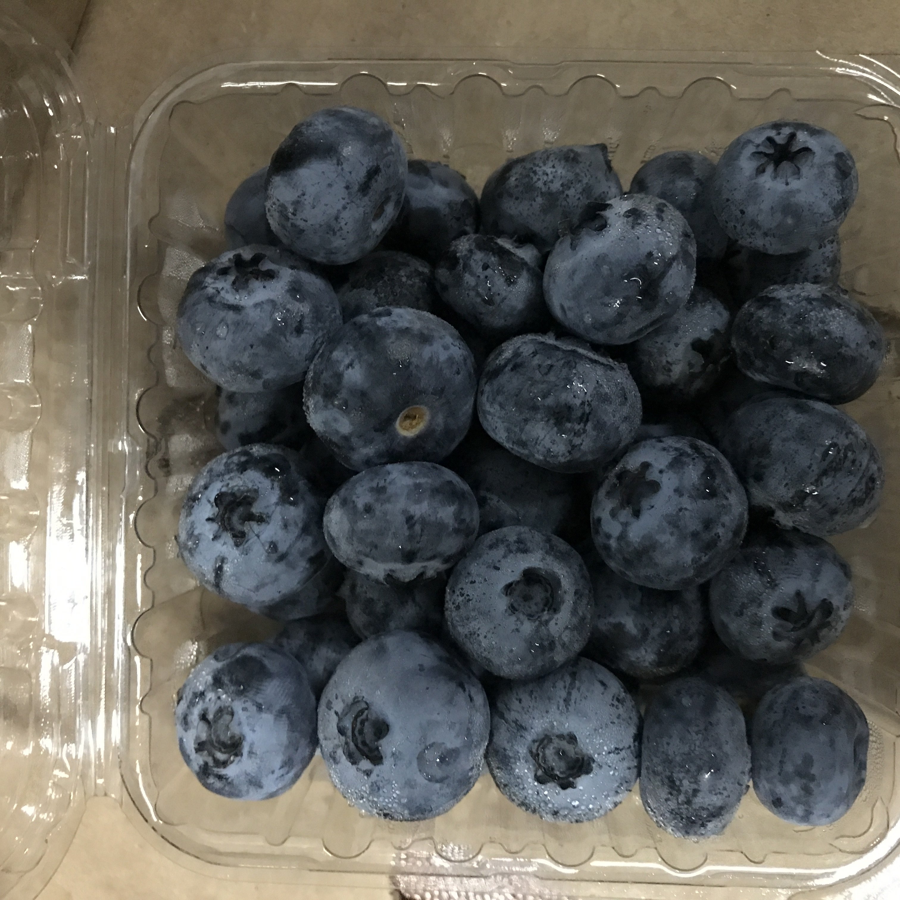 佳沃蓝莓新鲜蓝莓鲜果应季孕妇水果125g/盒12盒沈阳仓发货